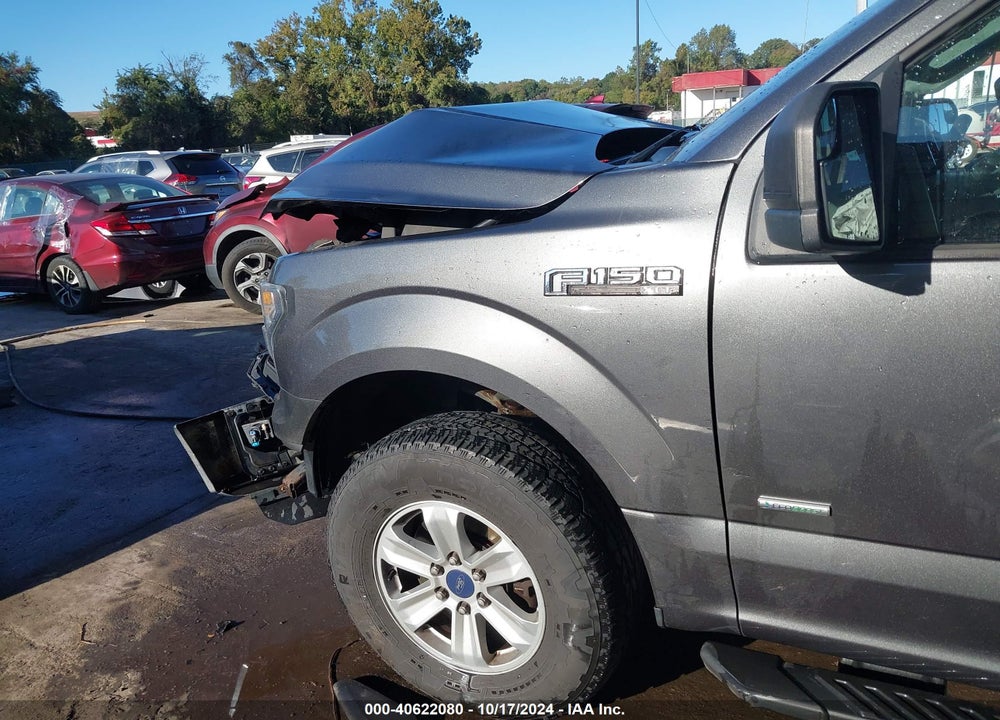 2015 FORD F-150 XLT VIN: 1FTEW1EG7FFA40937