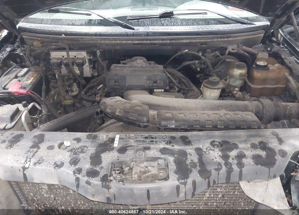 2005 FORD F-150 FX4/LARIAT/XL/XLT VIN: 1FTPX14565NA66228