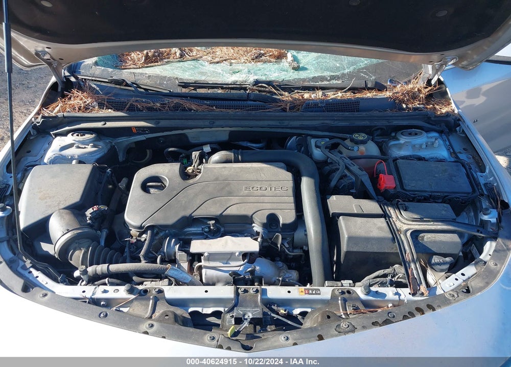 2019 CHEVROLET MALIBU VIN: 1G1ZD5ST9KF221153
