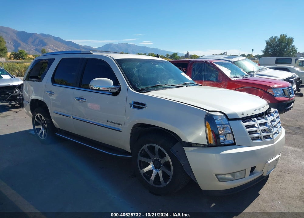 2007 CADILLAC ESCALADE STANDARD VIN: 1GYEC63837R427352