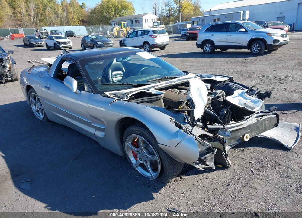 2004 CHEVROLET CORVETTE VIN: 1G1YY22G645121893