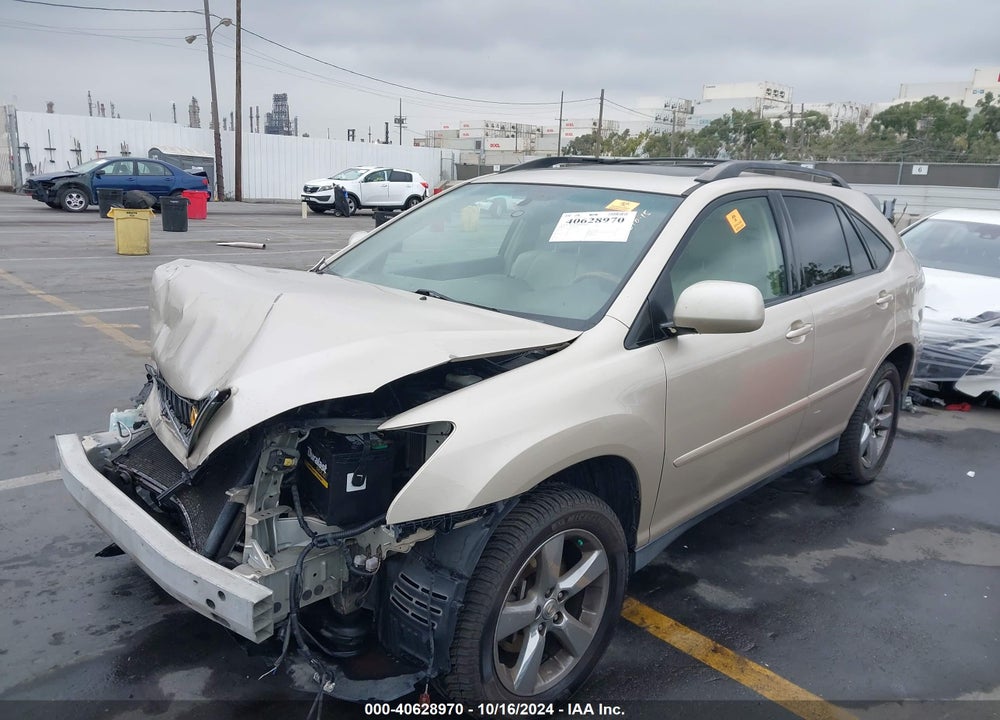 2005 LEXUS RX 330 VIN: JTJGA31U050051419