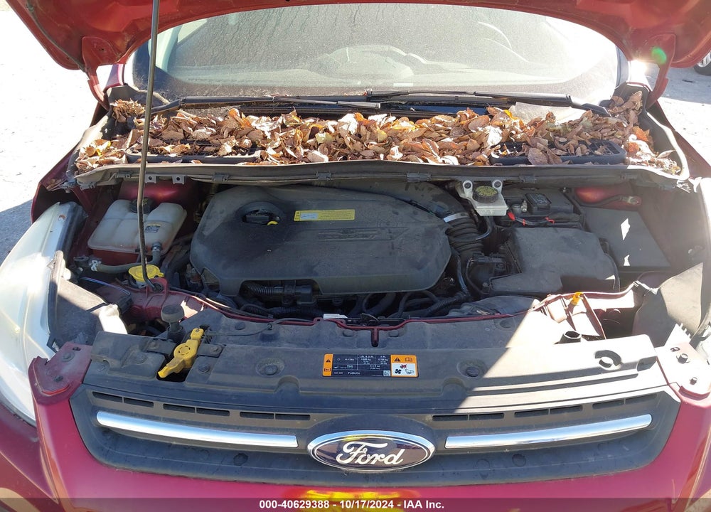 2013 FORD ESCAPE SE VIN: 1FMCU0GX7DUC76917