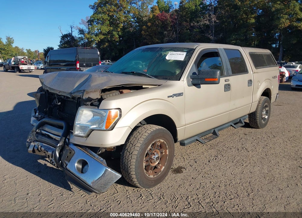 2010 FORD F-150 XL/XLT VIN: 1FTEW1E83AFA81955