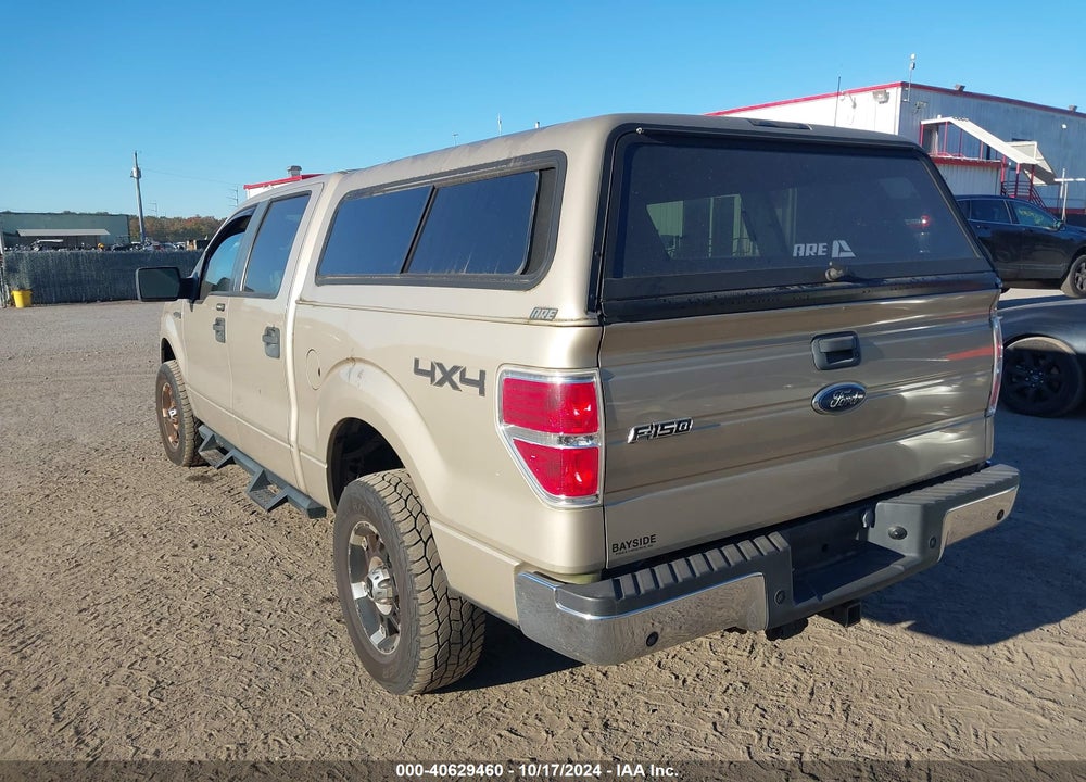 2010 FORD F-150 XL/XLT VIN: 1FTEW1E83AFA81955