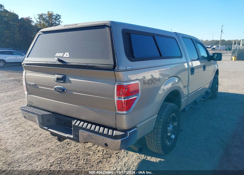2010 FORD F-150 XL/XLT VIN: 1FTEW1E83AFA81955