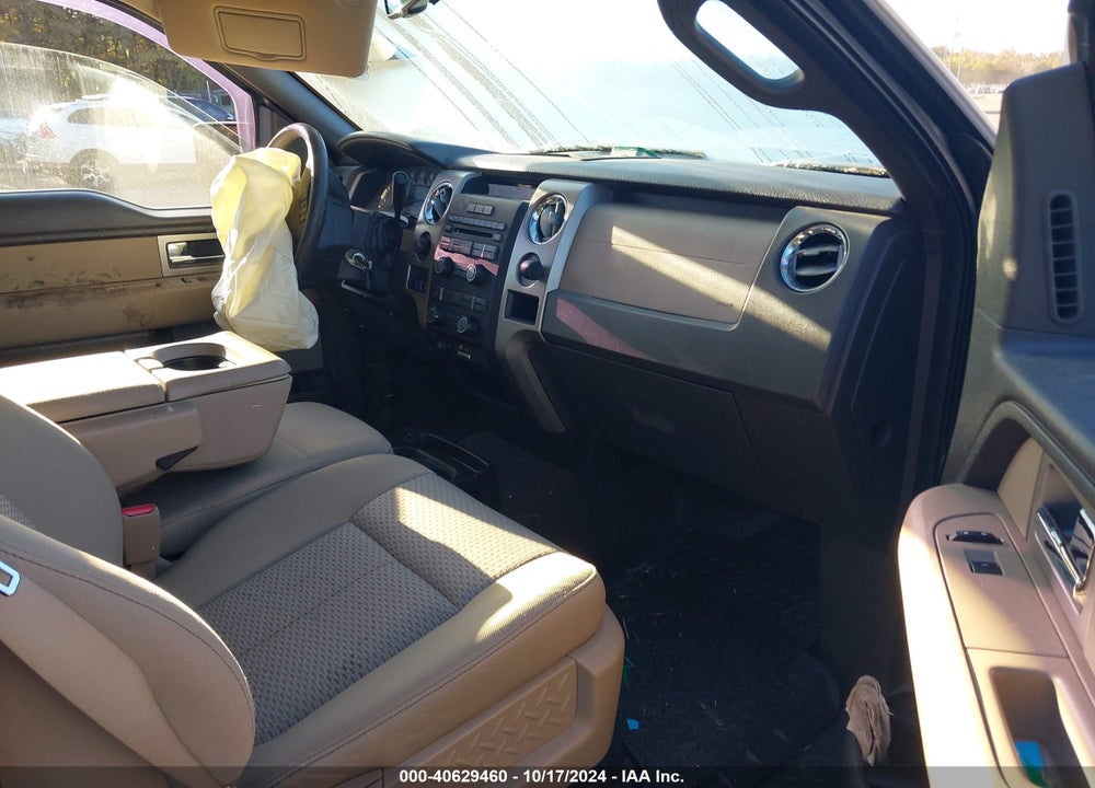 2010 FORD F-150 XL/XLT VIN: 1FTEW1E83AFA81955