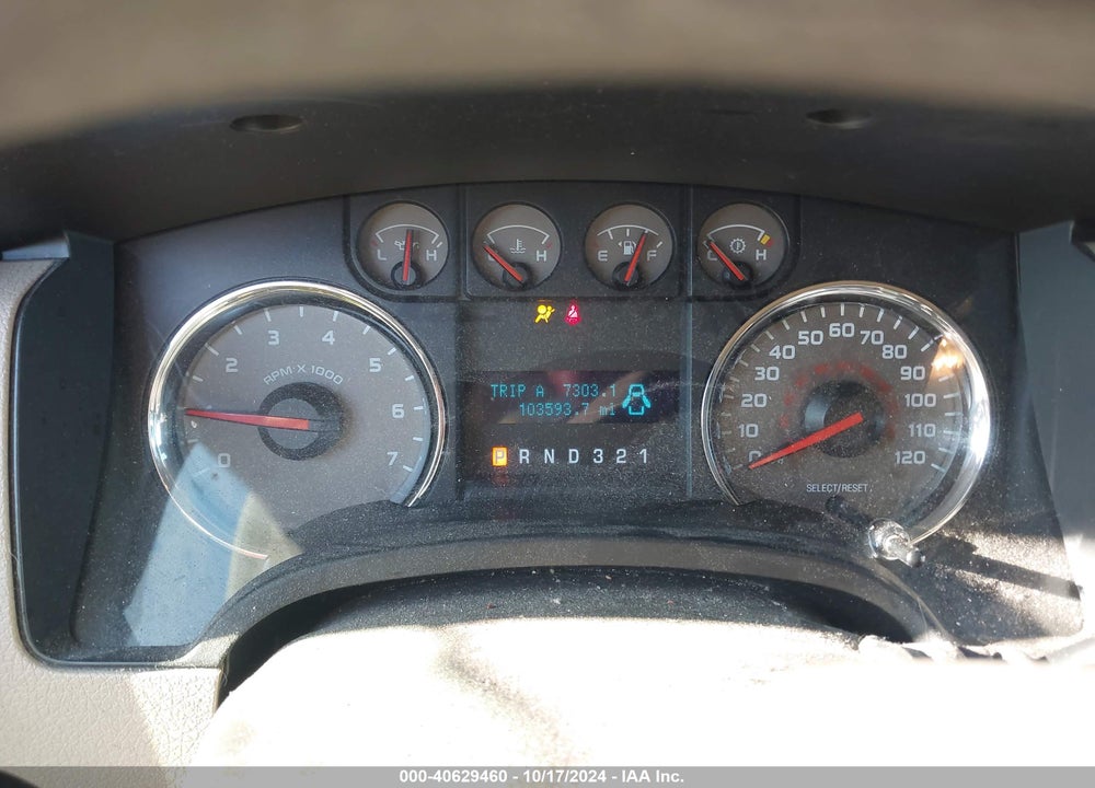 2010 FORD F-150 XL/XLT VIN: 1FTEW1E83AFA81955