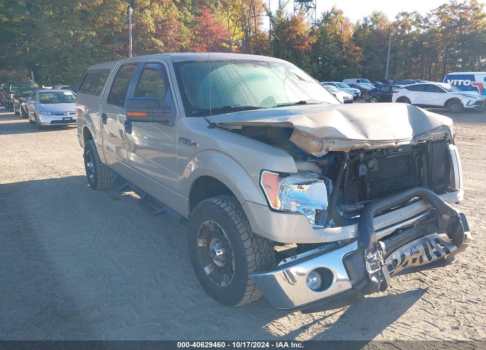 2010 FORD F-150 XL/XLT VIN: 1FTEW1E83AFA81955