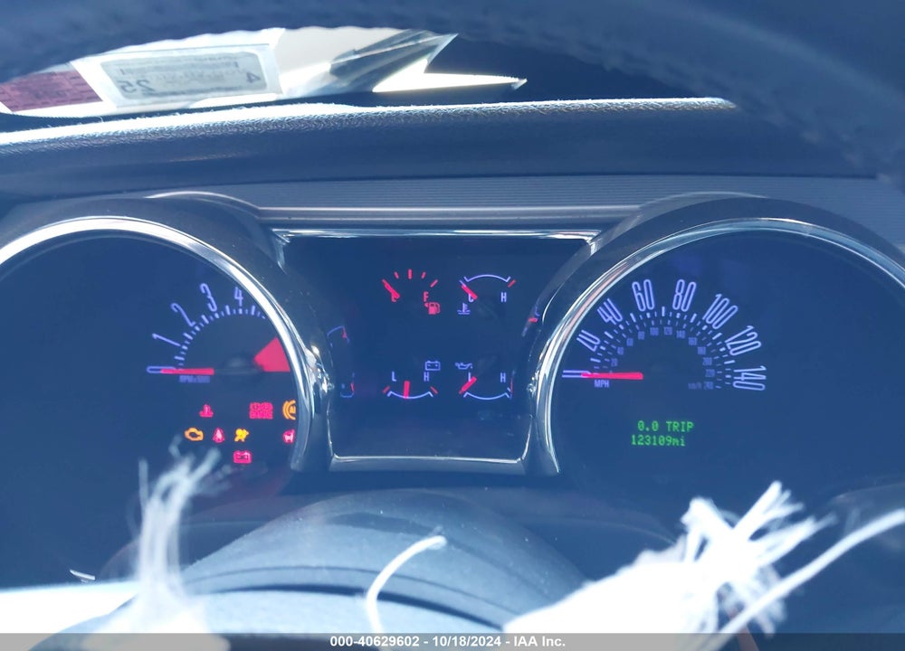 2005 FORD MUSTANG GT DELUXE/GT PREMIUM VIN: 1ZVHT82H955137733