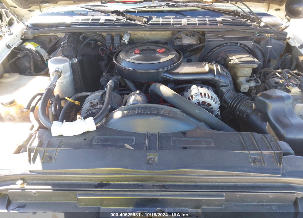 1994 CHEVROLET S TRUCK S10 VIN: 1GCCS19Z5R8210400