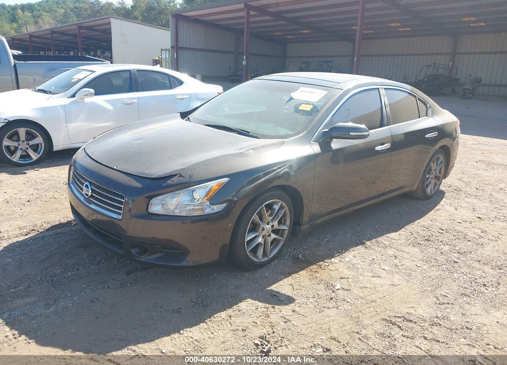 2010 NISSAN MAXIMA 3.5 SV VIN: 1N4AA5APXAC846197