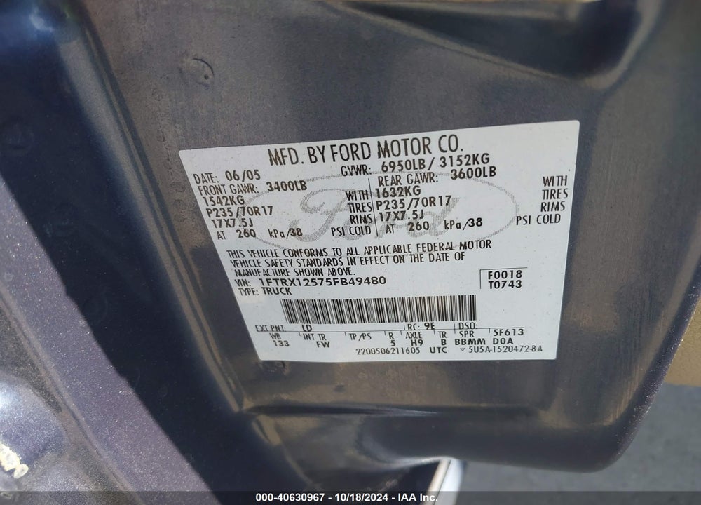 2005 FORD F-150 LARIAT/XL/XLT VIN: 1FTRX12575FB49480