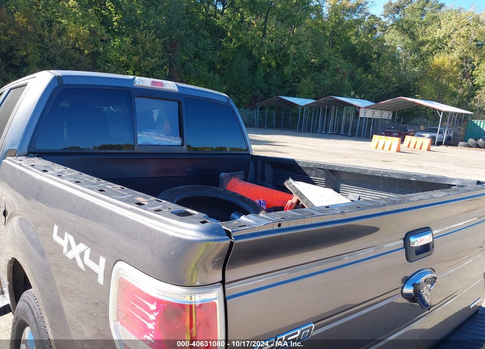 2013 FORD F-150 XLT VIN: 1FTFW1EF3DFD66050