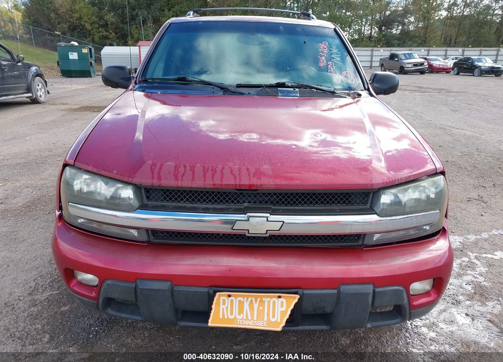 2002 CHEVROLET TRAILBLAZER LT VIN: 1GNDS13S822454154