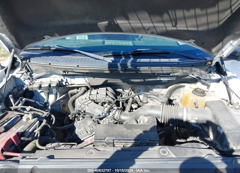 2014 FORD F-150 XL VIN: 1FTMF1CM5EKE33460
