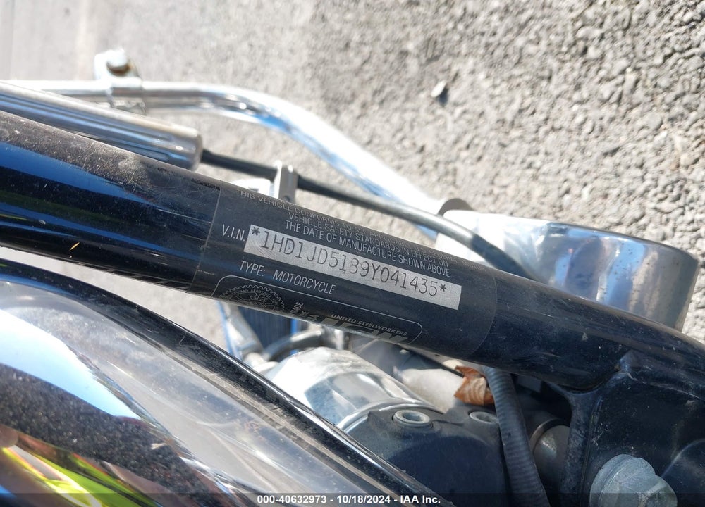 2009 HARLEY-DAVIDSON FLSTN VIN: 1HD1JD5189Y041435
