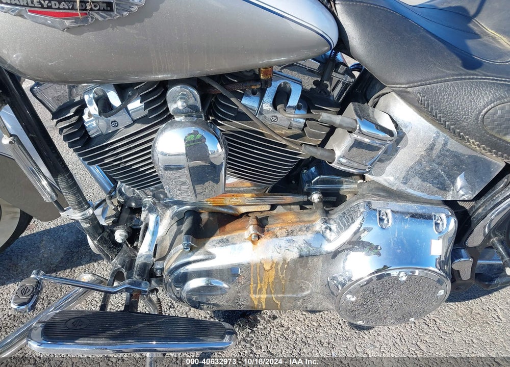 2009 HARLEY-DAVIDSON FLSTN VIN: 1HD1JD5189Y041435