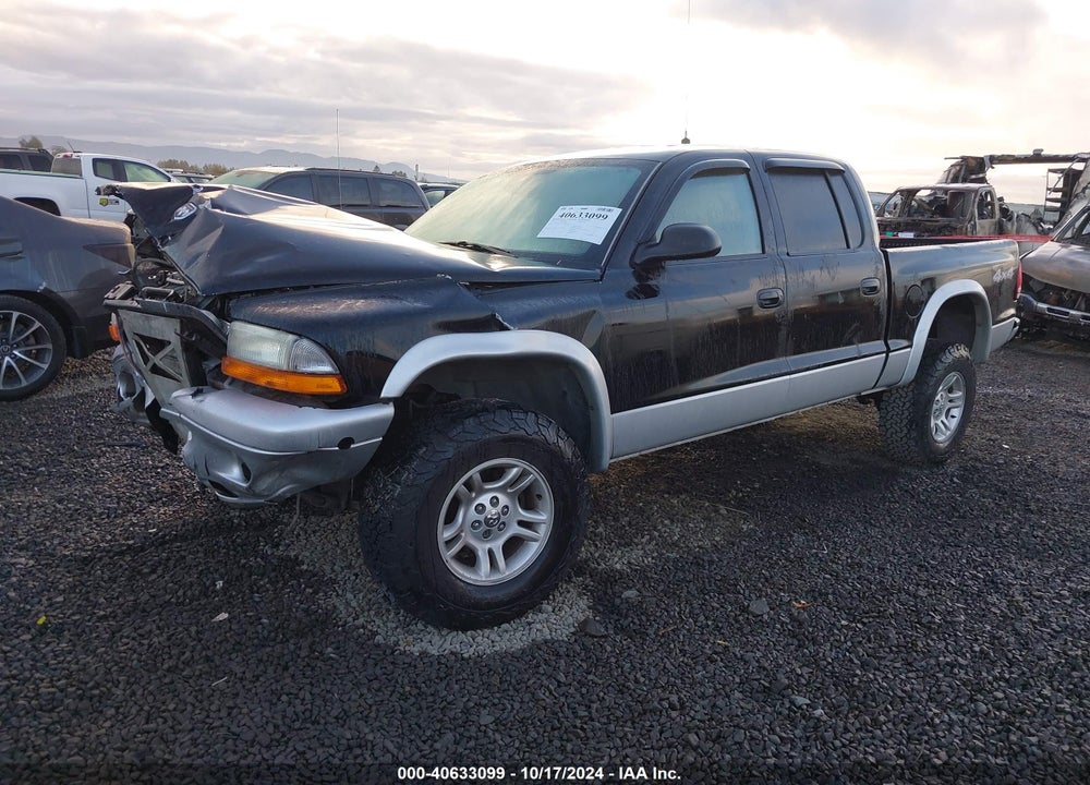2004 DODGE DAKOTA SLT VIN: 1D7HG48NX4S737499