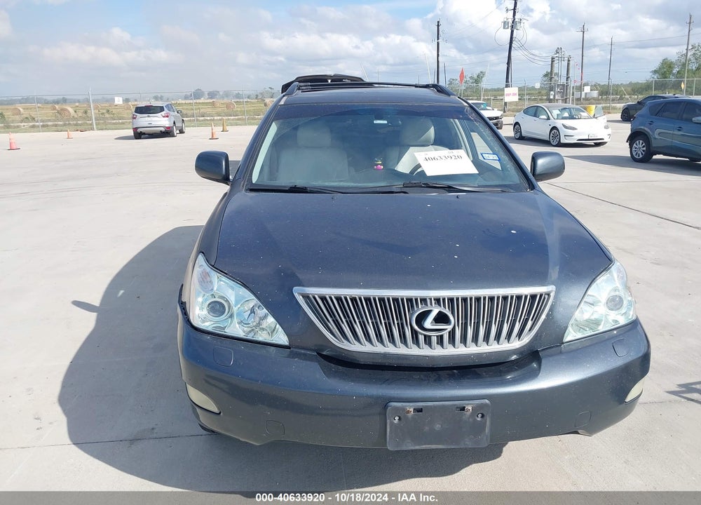 2006 LEXUS RX 330 VIN: 2T2HA31U06C103822