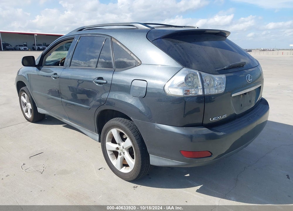 2006 LEXUS RX 330 VIN: 2T2HA31U06C103822