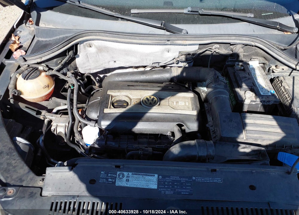 2010 VOLKSWAGEN TIGUAN SE VIN: WVGBV7AX5AW507999