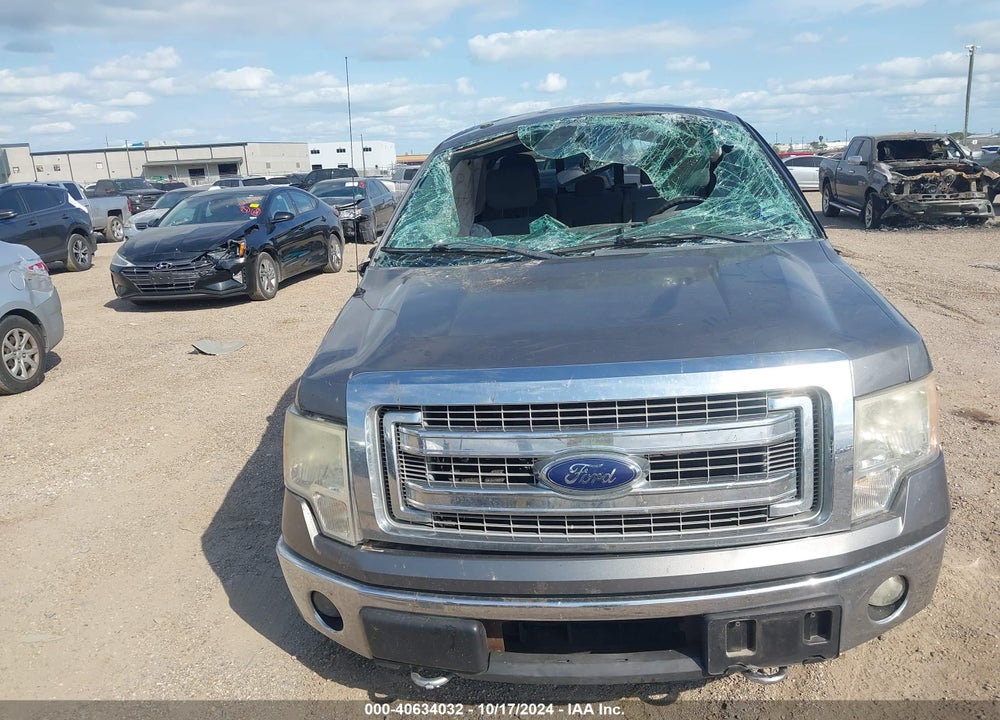 2013 FORD F-150 XLT VIN: 1FTFW1ET7DKG06505