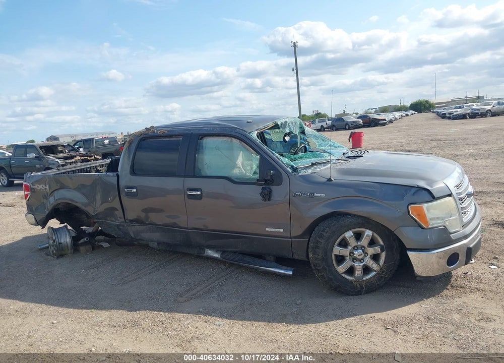 2013 FORD F-150 XLT VIN: 1FTFW1ET7DKG06505