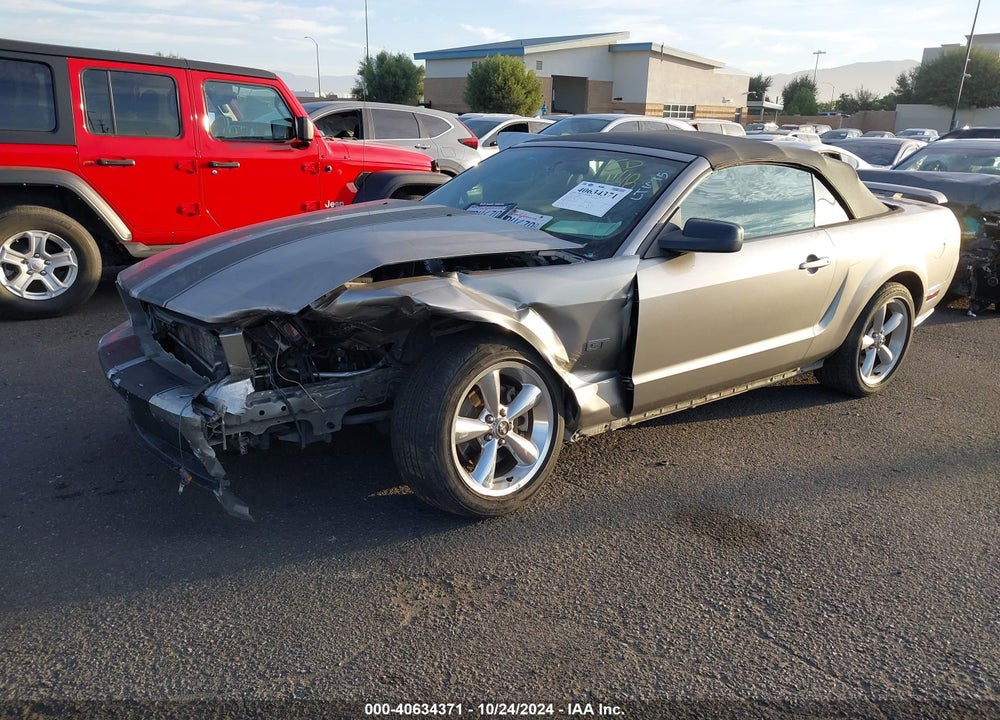 2008 FORD MUSTANG GT DELUXE/GT PREMIUM VIN: 1ZVHT85H085110307