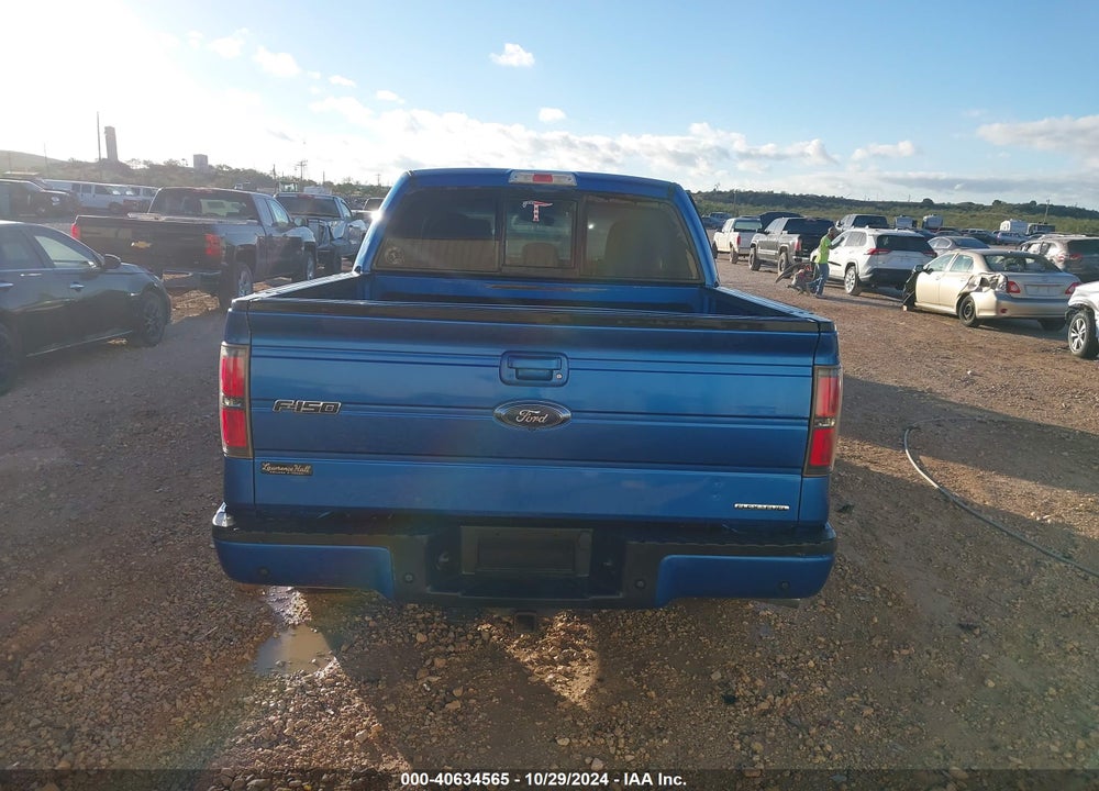 2014 FORD F-150 VIN: 1FTFW1CF3EKD99254