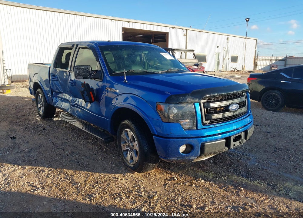 2014 FORD F-150 VIN: 1FTFW1CF3EKD99254