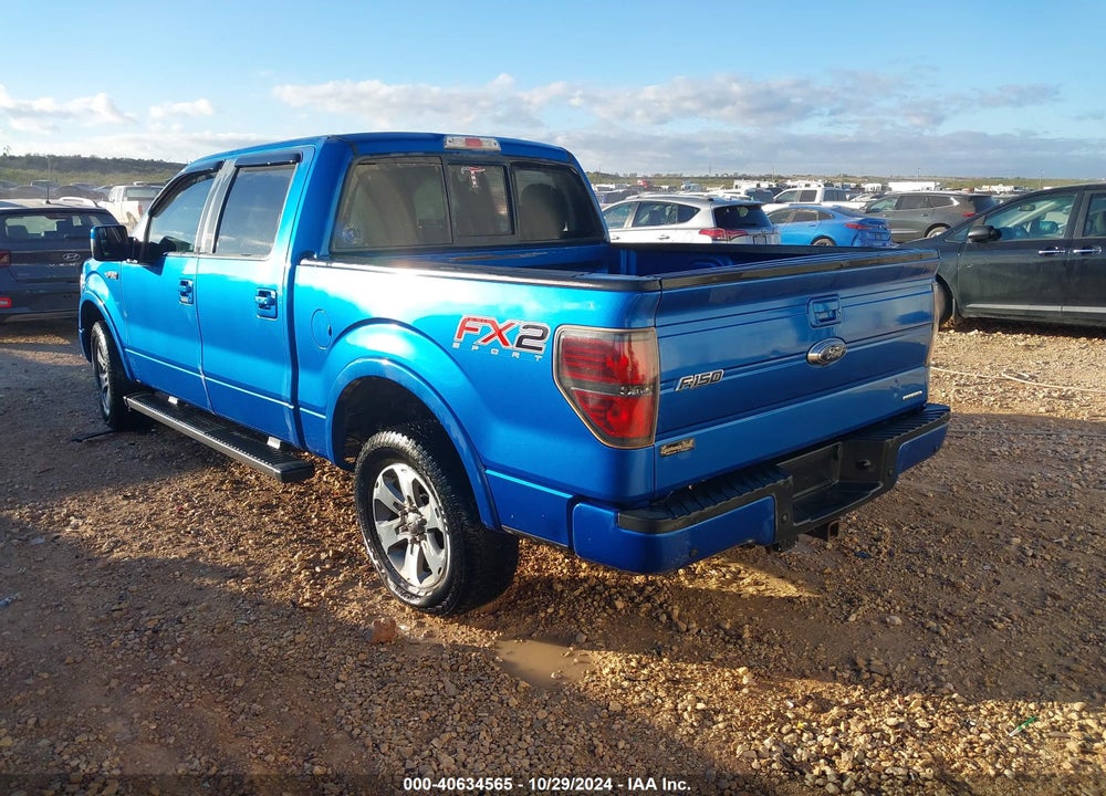 2014 FORD F-150 VIN: 1FTFW1CF3EKD99254