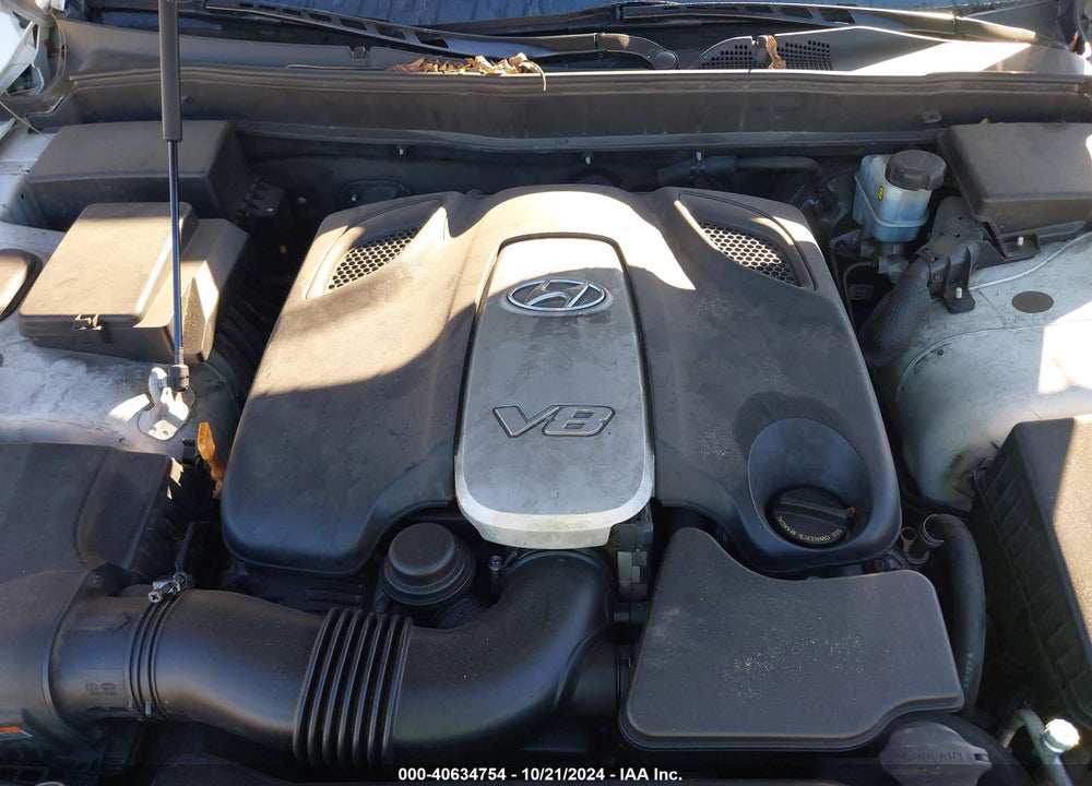 2010 HYUNDAI GENESIS VIN: KMHGC4DF5AU096242
