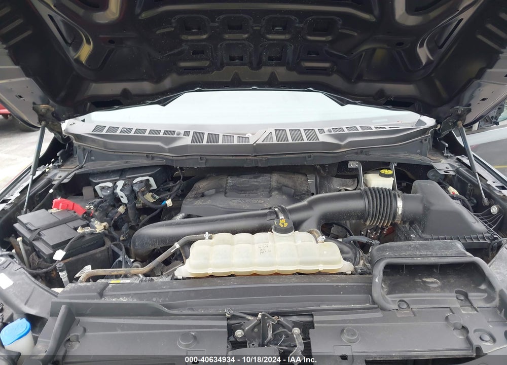 2021 FORD F-150 VIN: 1FTEW1C83MFB01354