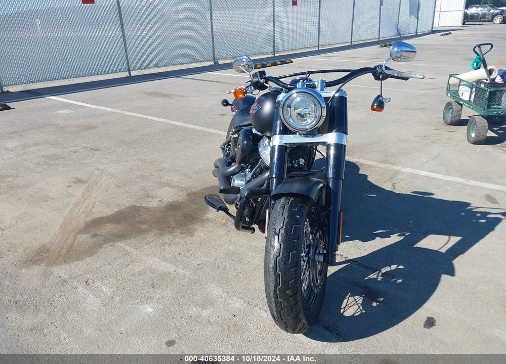 2020 HARLEY-DAVIDSON FLSL VIN: 1HD1YDJ13LB067193