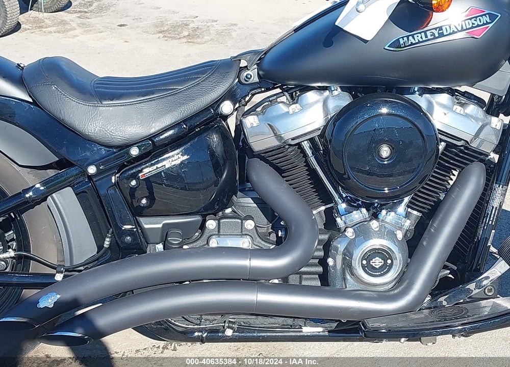 2020 HARLEY-DAVIDSON FLSL VIN: 1HD1YDJ13LB067193