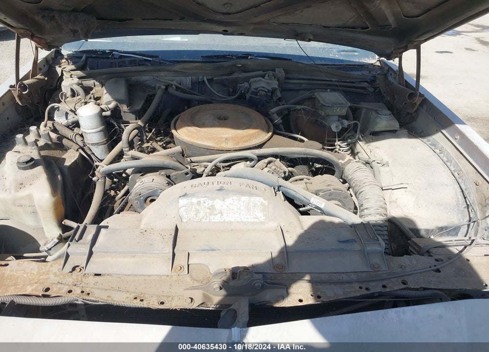 1984 OLDSMOBILE DELTA 88 ROYALE BROUGHAM VIN: 1G3AY69Y1EX317664