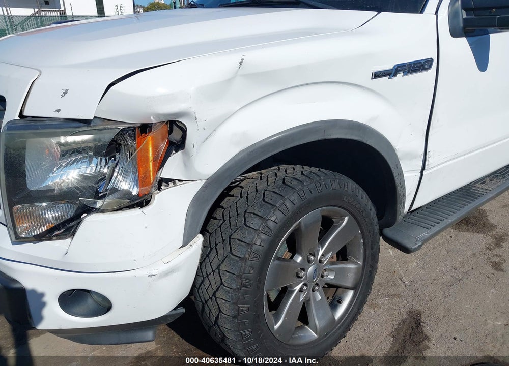 2011 FORD F-150 FX4 VIN: 1FTFX1EF8BKE07399