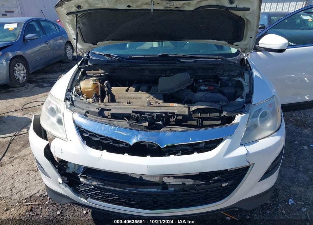 2010 MAZDA CX-9 SPORT VIN: JM3TB2MA8A0229900