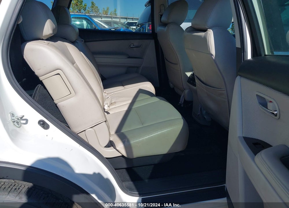 2010 MAZDA CX-9 SPORT VIN: JM3TB2MA8A0229900