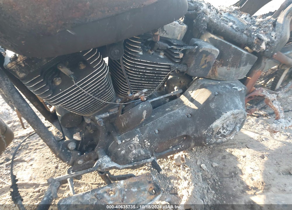 2005 HARLEY-DAVIDSON FLSTCI VIN: 1HD1BWB195Y101570