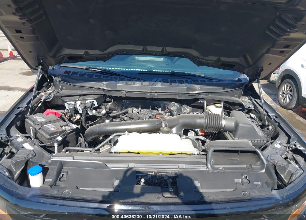 2024 FORD F-150 XLT VIN: 1FTFW3L86RFA10084