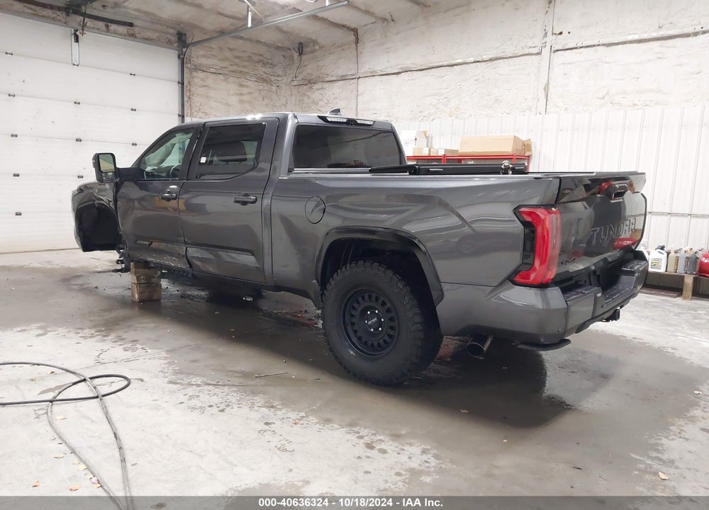 2024 TOYOTA TUNDRA PLATINUM VIN: 5TFNA5EC6RX025329