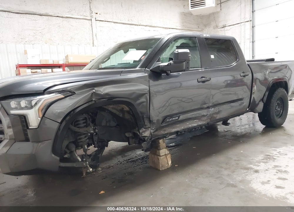 2024 TOYOTA TUNDRA PLATINUM VIN: 5TFNA5EC6RX025329