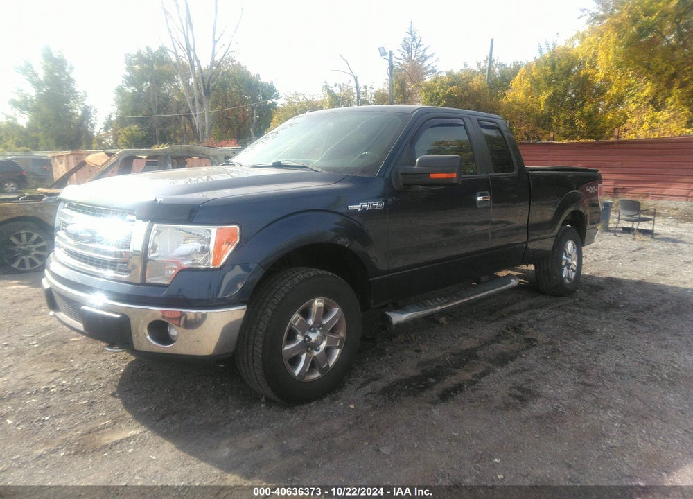2013 FORD F-150 XLT VIN: 1FTFX1EF5DKD35533