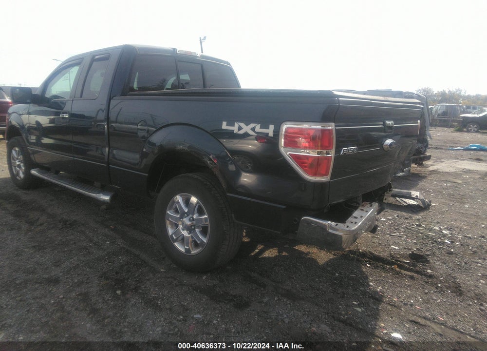 2013 FORD F-150 XLT VIN: 1FTFX1EF5DKD35533