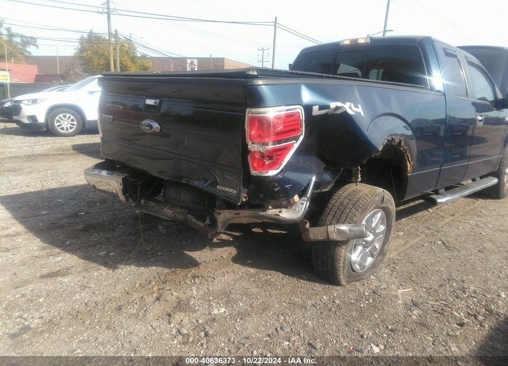 2013 FORD F-150 XLT VIN: 1FTFX1EF5DKD35533