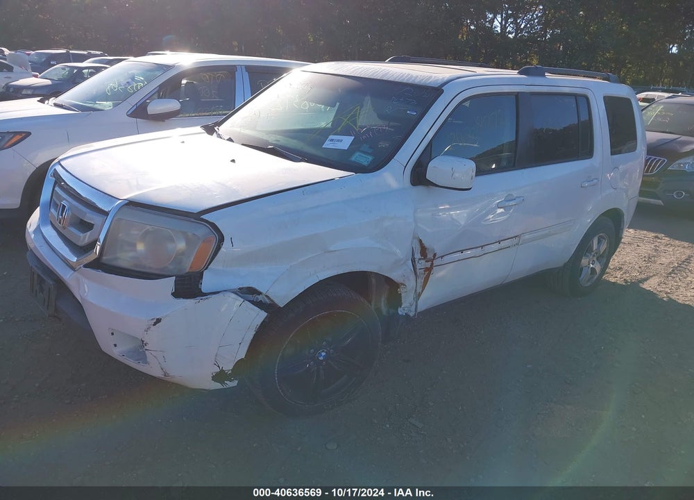2009 HONDA PILOT EX-L VIN: 5FNYF48529B036621