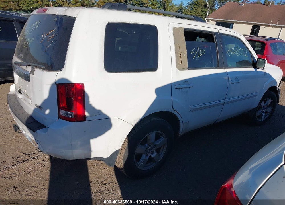 2009 HONDA PILOT EX-L VIN: 5FNYF48529B036621