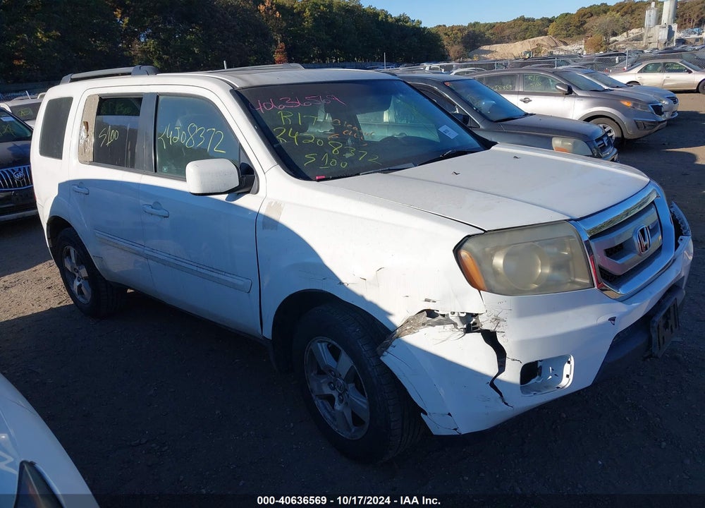 2009 HONDA PILOT EX-L VIN: 5FNYF48529B036621